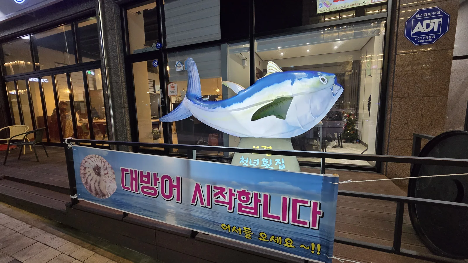 보령베이스cc 라운딩 후 들린 '청년횟집' - 대방어 스페셜의 진수