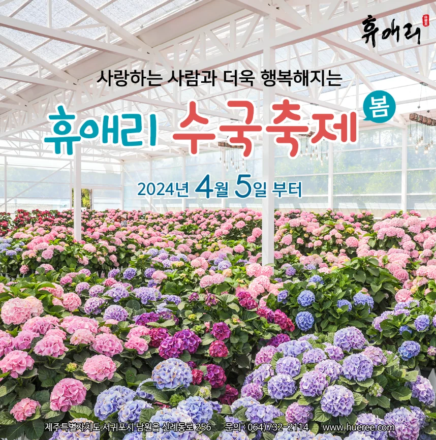 제주도 봄나들이, 휴애리 봄 수국축제 - 제주 아이들과 가볼 만한 곳