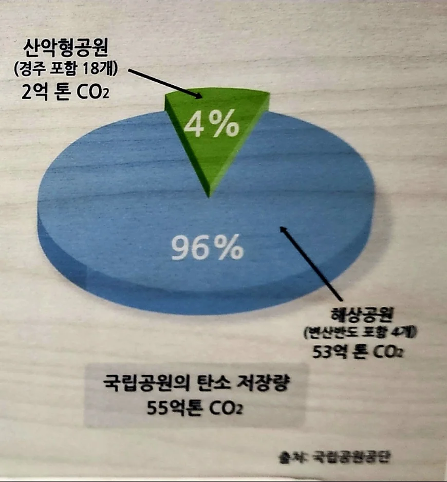 탄소중립 국립공원 그리고 지구온난화 ㅡ 초중고 토론 및 논술 대비