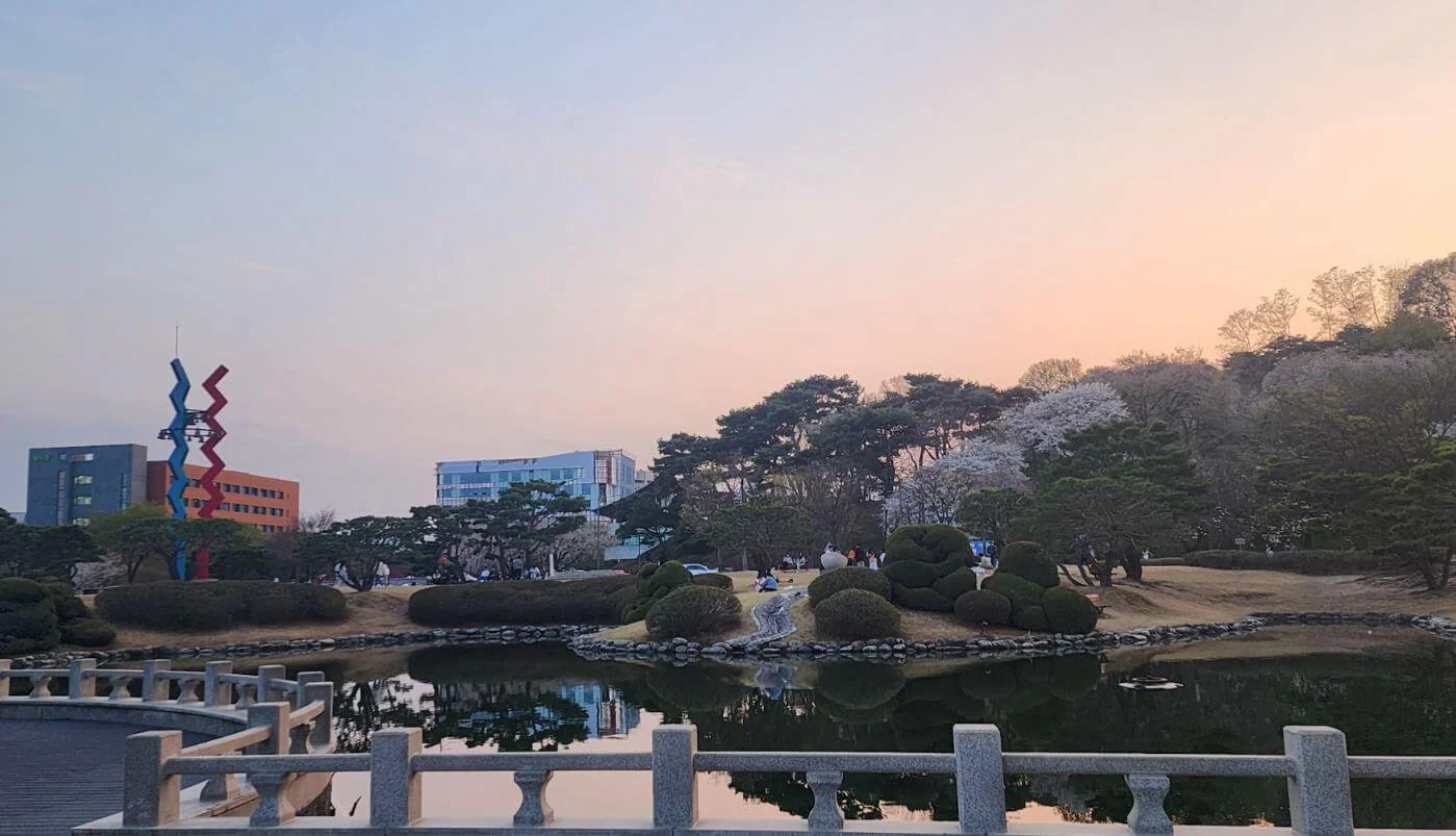대전 카이스트 벚꽃 축제, 아이들과 꼭 방문하세요