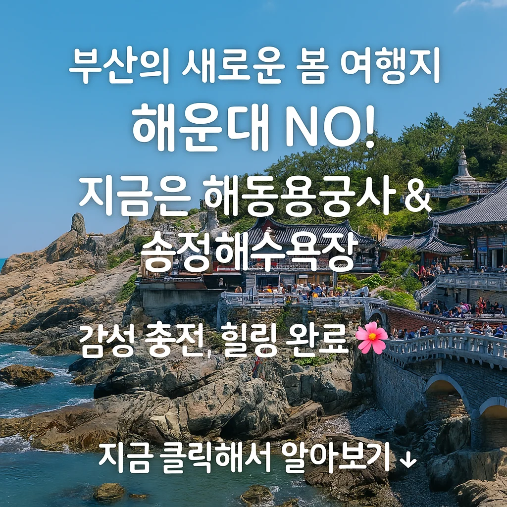 🌊 부산의 새로운 핫플! 해동용궁사 & 송정해수욕장 – 해운대를 넘어 떠오르는 봄 여행지