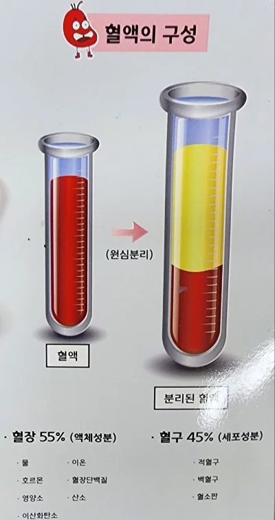 초4 과학수업, 혈액에 대한 이해 (인공지능 활용, 교안, 문제 제출)