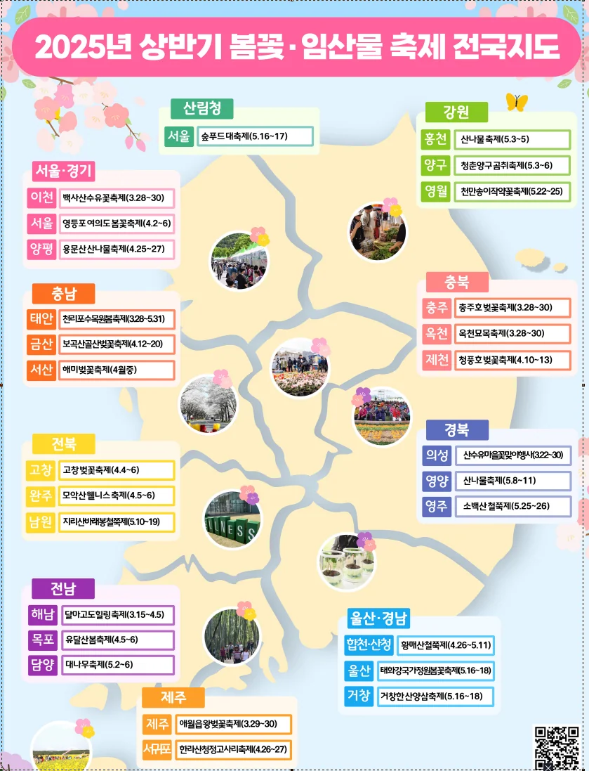 [봄 축제] 2025년 전북 봄꽃·임산물 축제 추천! 🌸🌿