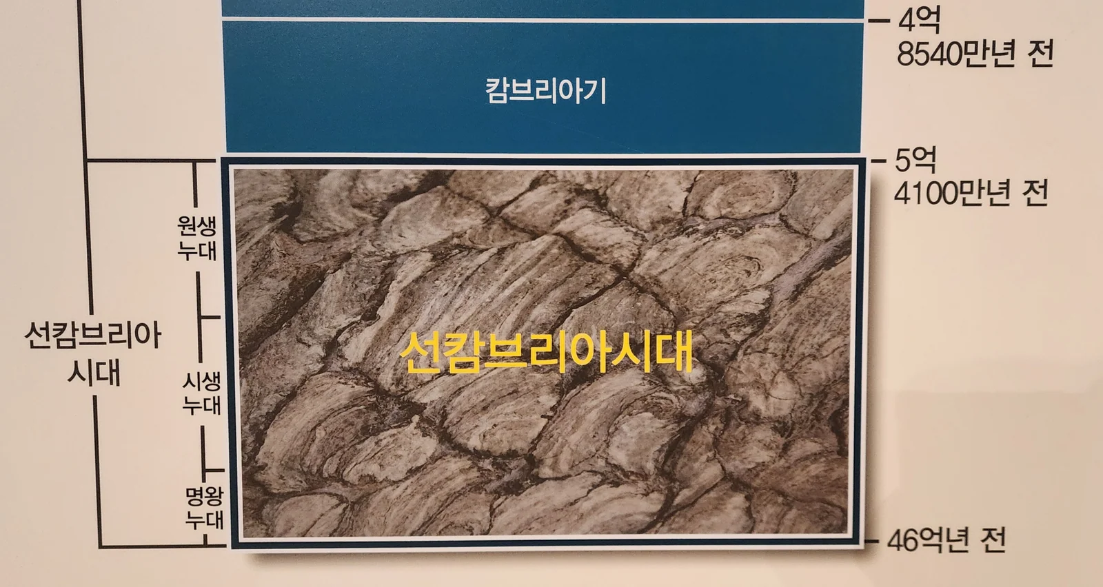 국립중앙과학관 자연사관 안내, 선캄브리아시대 한반도
