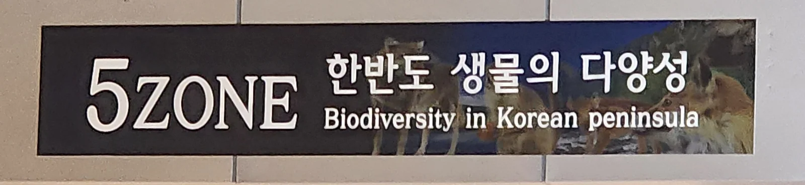 국립중앙과학관 자연사관 한반도 지질 고생대 중생대 신생대