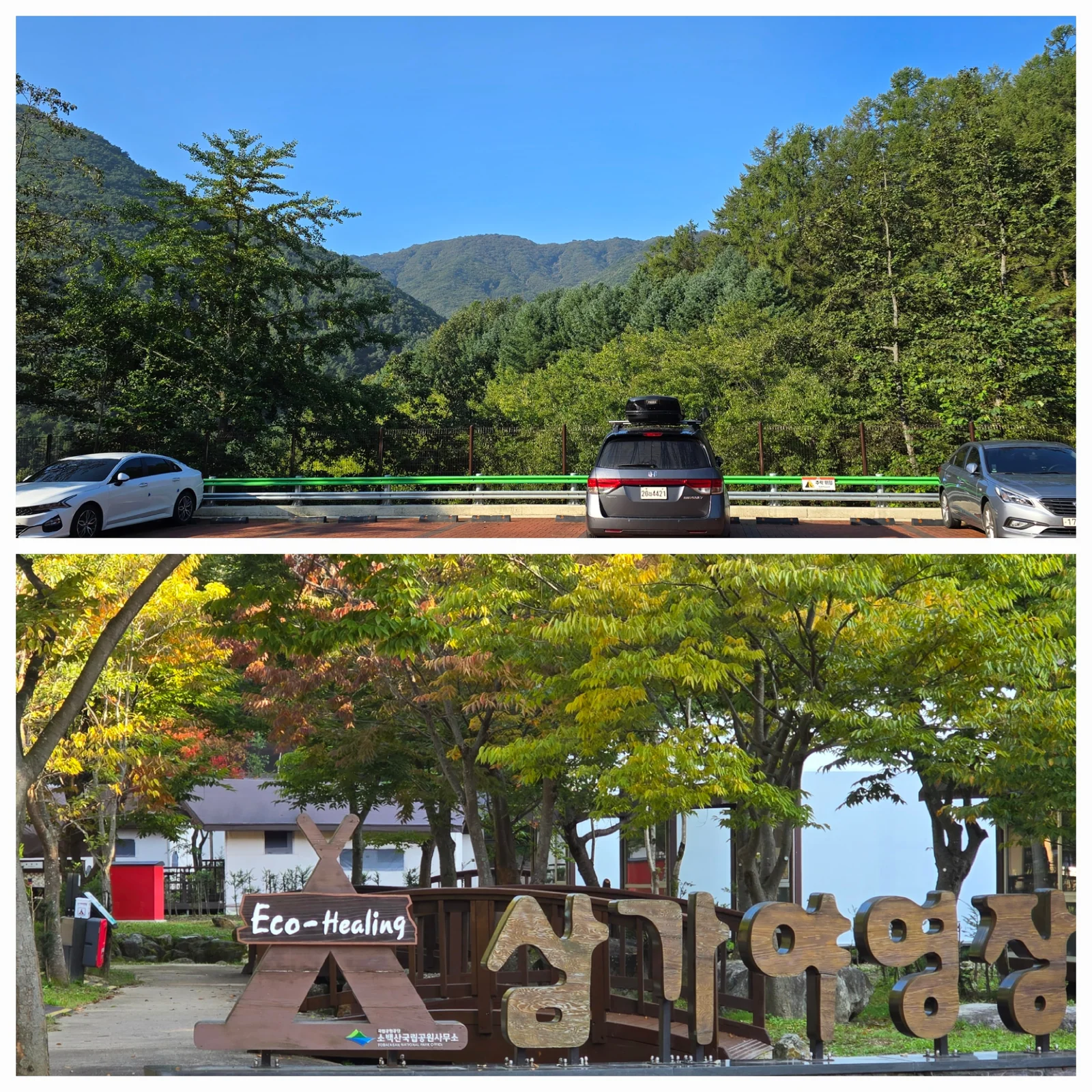 영주여행 2일차 저녁 ㅡ 삼가야영장