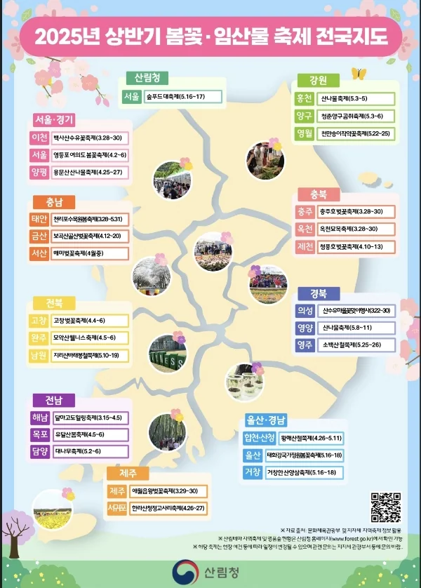 [충남 봄꽃] 2025년 충남 봄꽃·임산물 축제 총정리! 🌸🌿