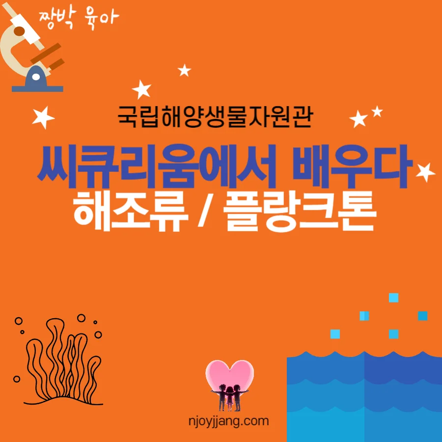 [초등 과학] 해조류 플랑크톤 - 씨큐리움 국립해양생물자원관