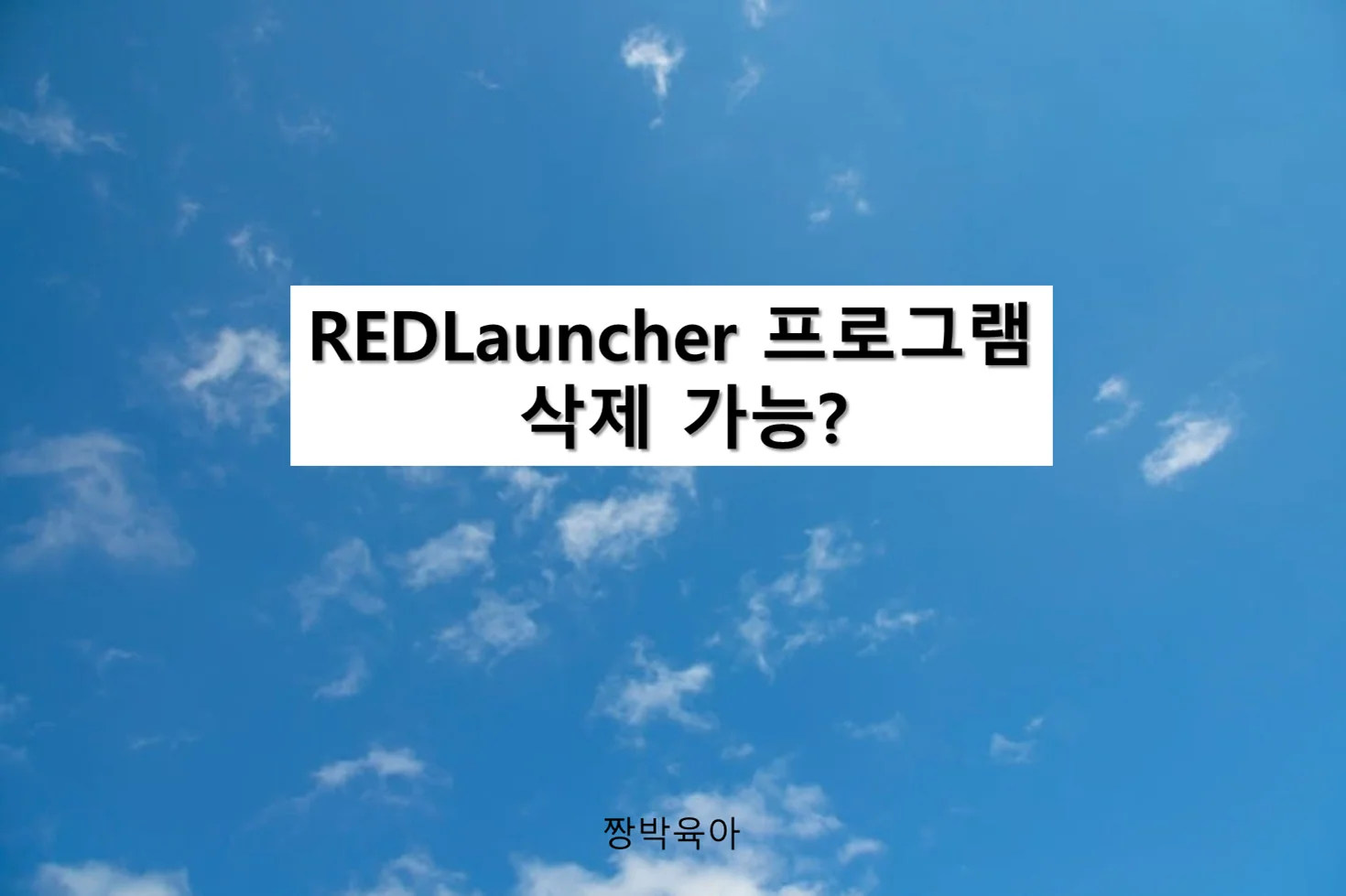 [Win Tip]REDLauncher 프로그램의 용도와 삭제 가능 여부