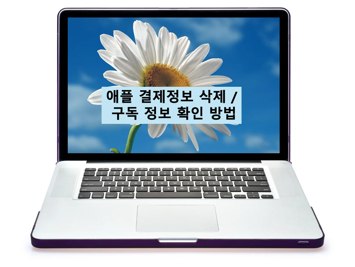 [Mac Tip] 애플 결제정보 삭제 방법 - 나도 모르게 결재 되는 애플, 애플 뮤직, 구독 정보 확인 방법